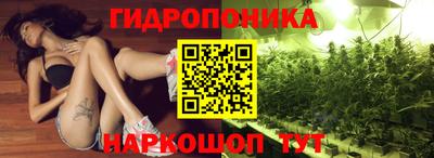 ГАЛЛЮЦИНОГЕННЫЕ ГРИБЫ Пугачёв