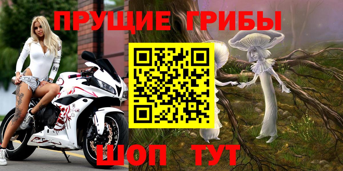 хочу   Псилоцибиновые грибы Cubensis  Вход с VPN  Серпухов 